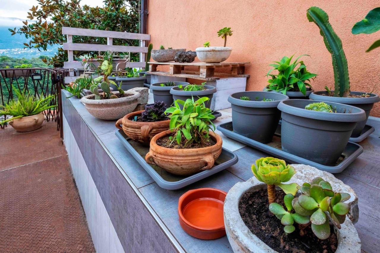 Bnb Casa Rossa モンレアーレ エクステリア 写真